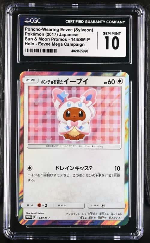 Poncho-Wearing Eevee