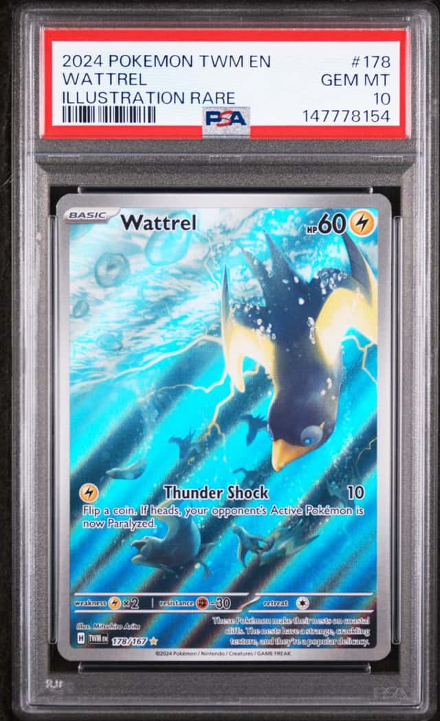Wattrel