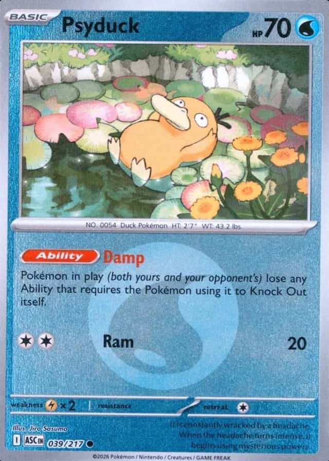 Reverse Holo