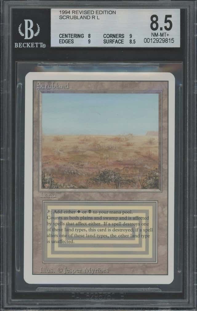 Scrubland
