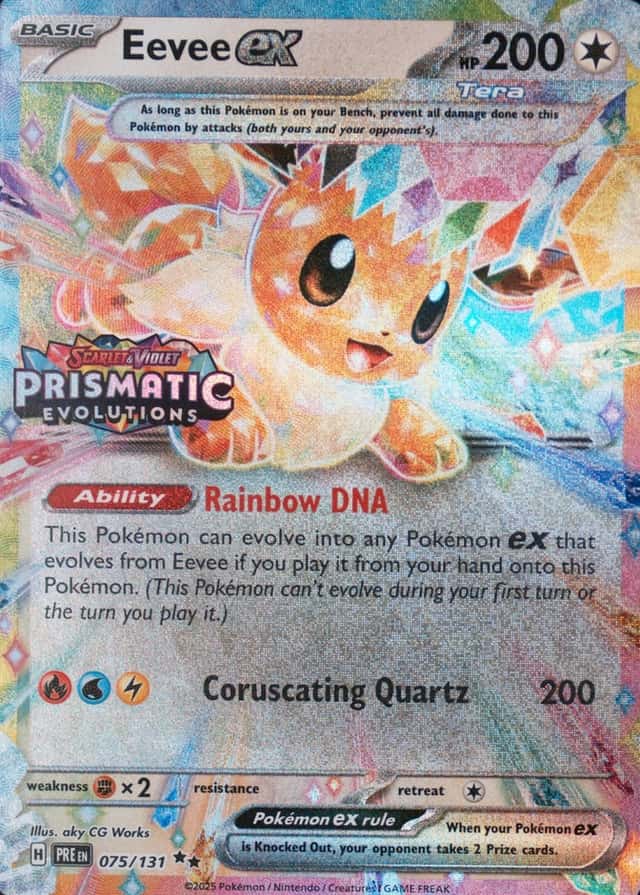 Holo · Box Exclusive Surprise