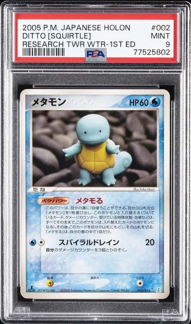 Ditto [Squirtle]