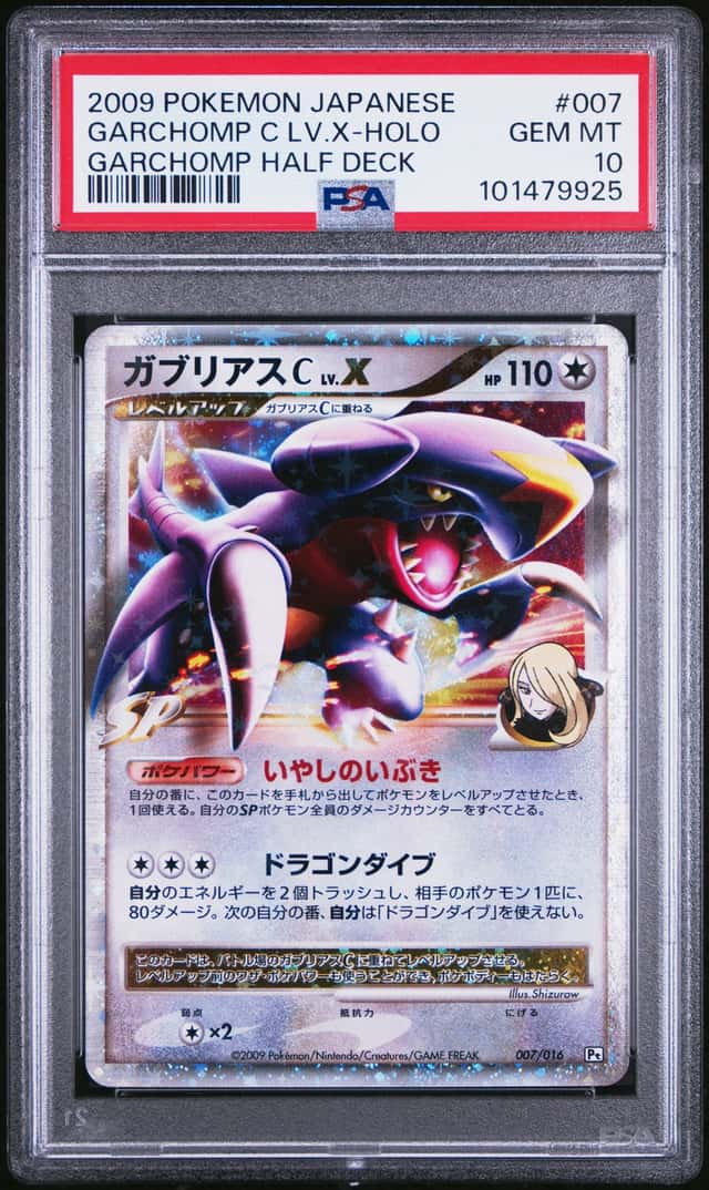 GARCHOMP C LV.X