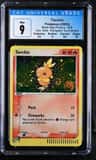 Torchic