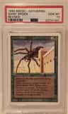 Giant Spider