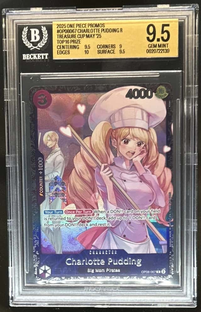 Charlotte Pudding