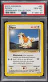 Pidgey