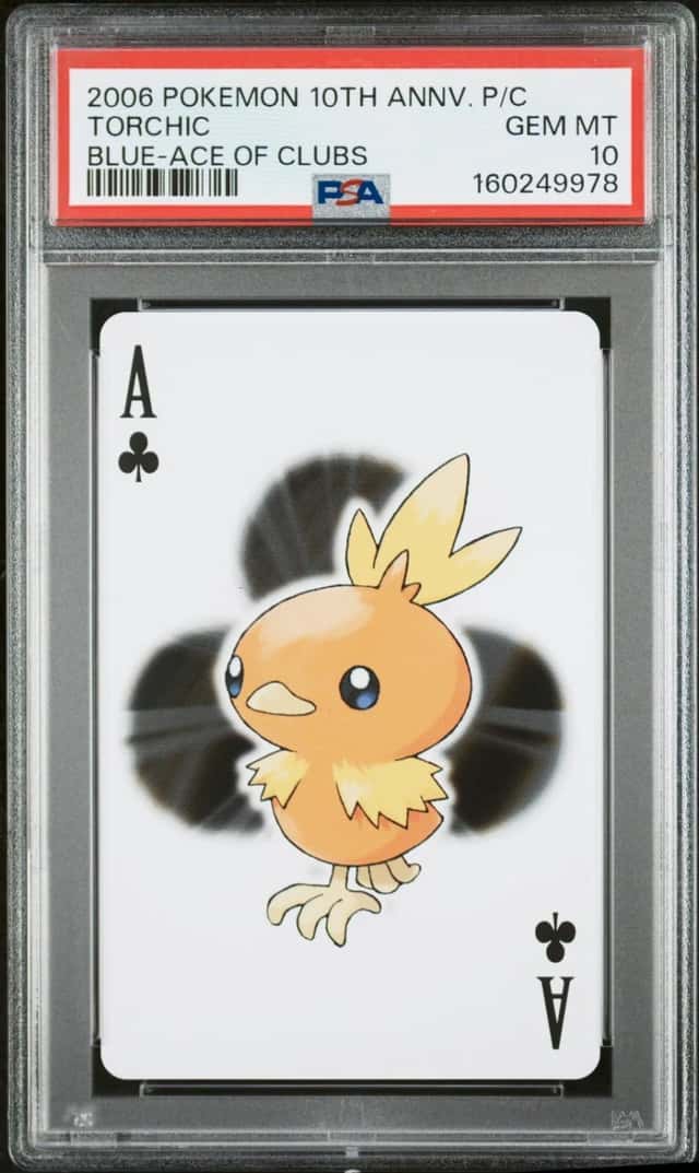 Torchic