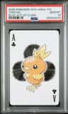 Torchic