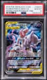 Mewtwo & Mew Gx
