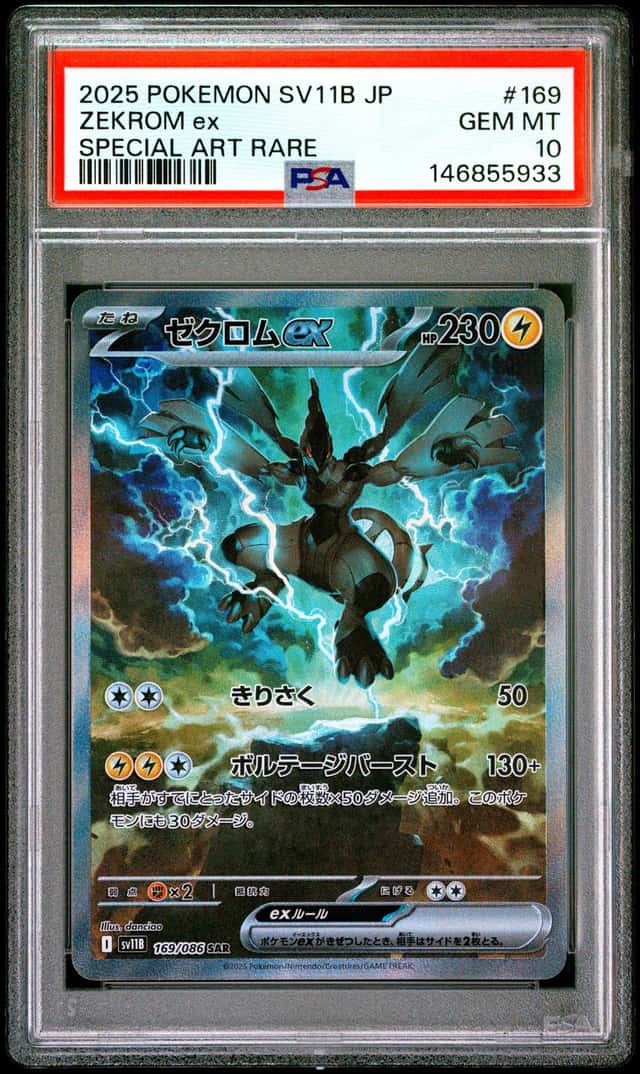 ZEKROM ex