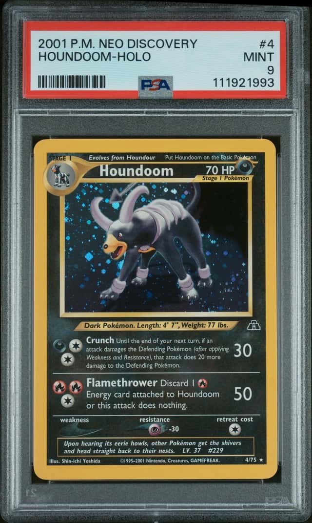 Houndoom