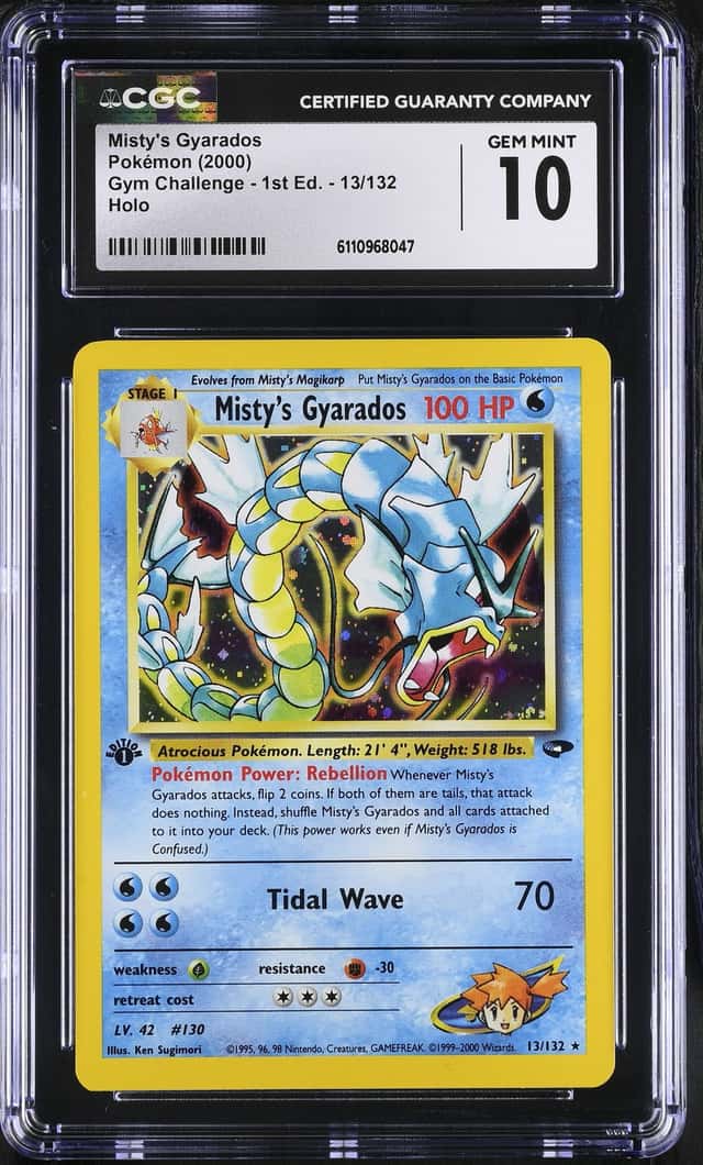 Misty's Gyarados