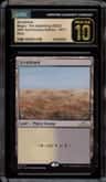 Scrubland