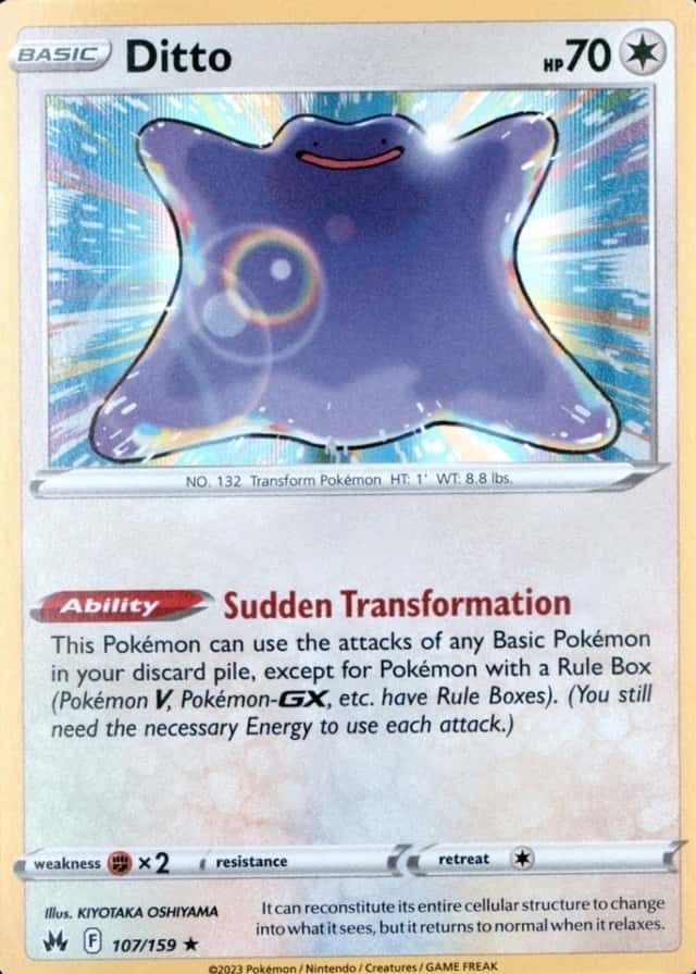 Holo