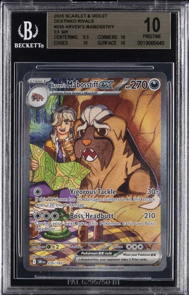 ARVEN'S MABOSSTIFF ex
