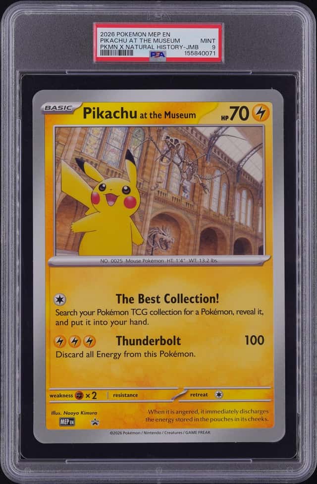 Pikachu At The Museum
