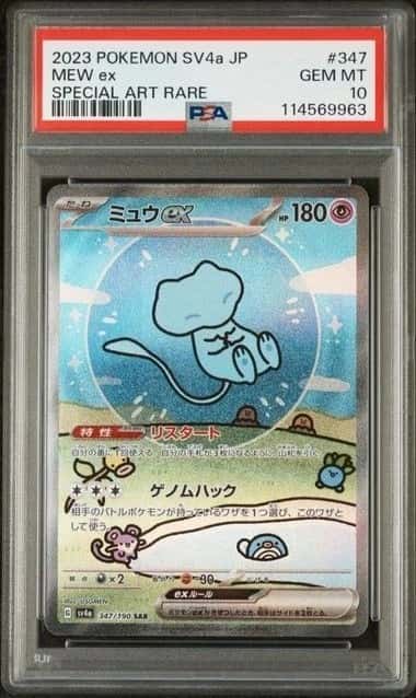 MEW ex