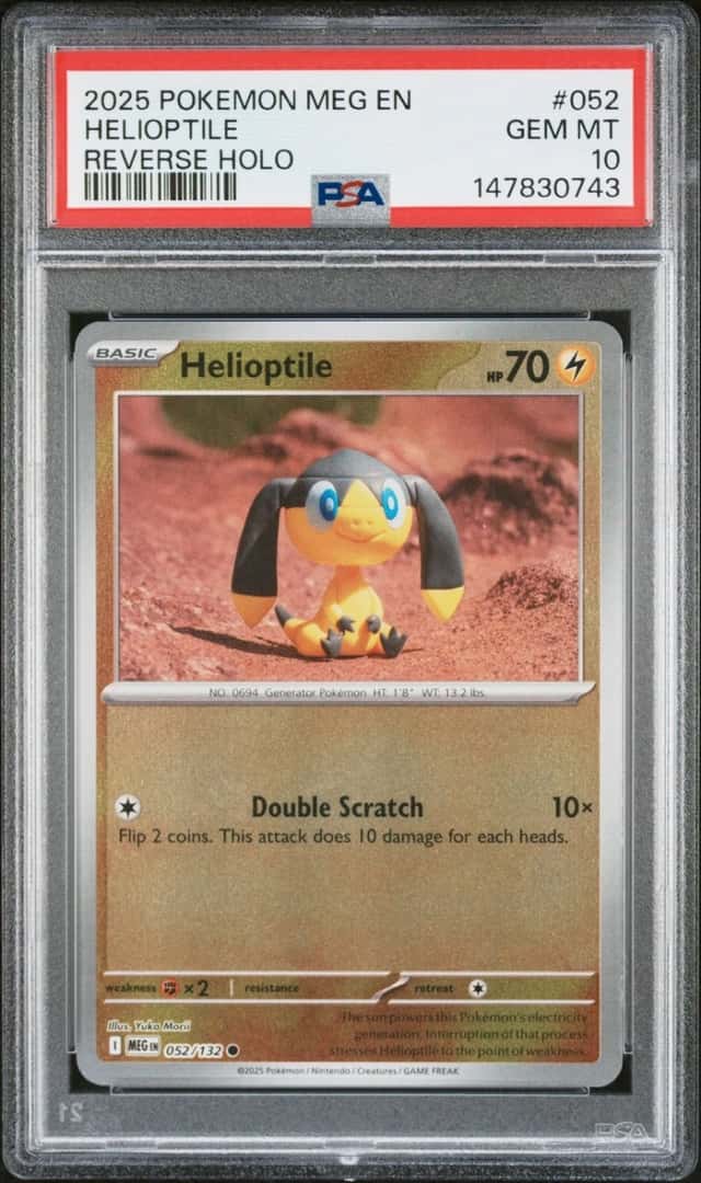 Helioptile