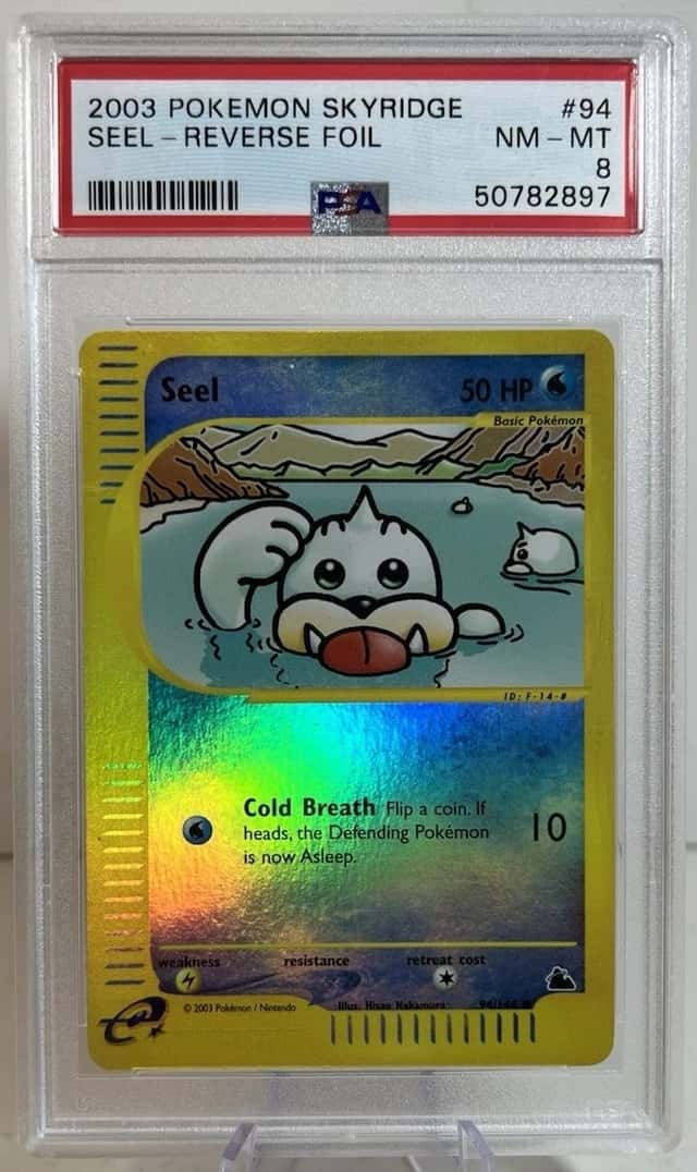 Seel