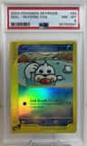 Seel
