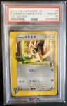 Falkner'S Farfetch'D