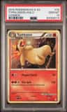 Typhlosion