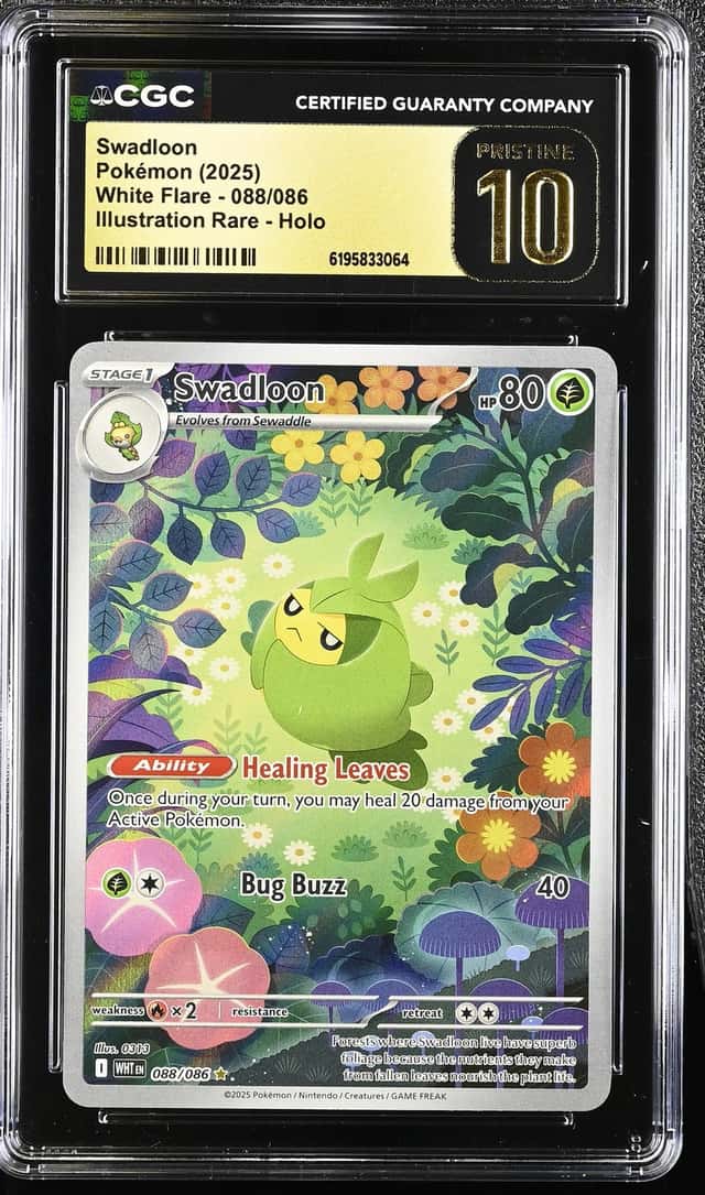 Swadloon