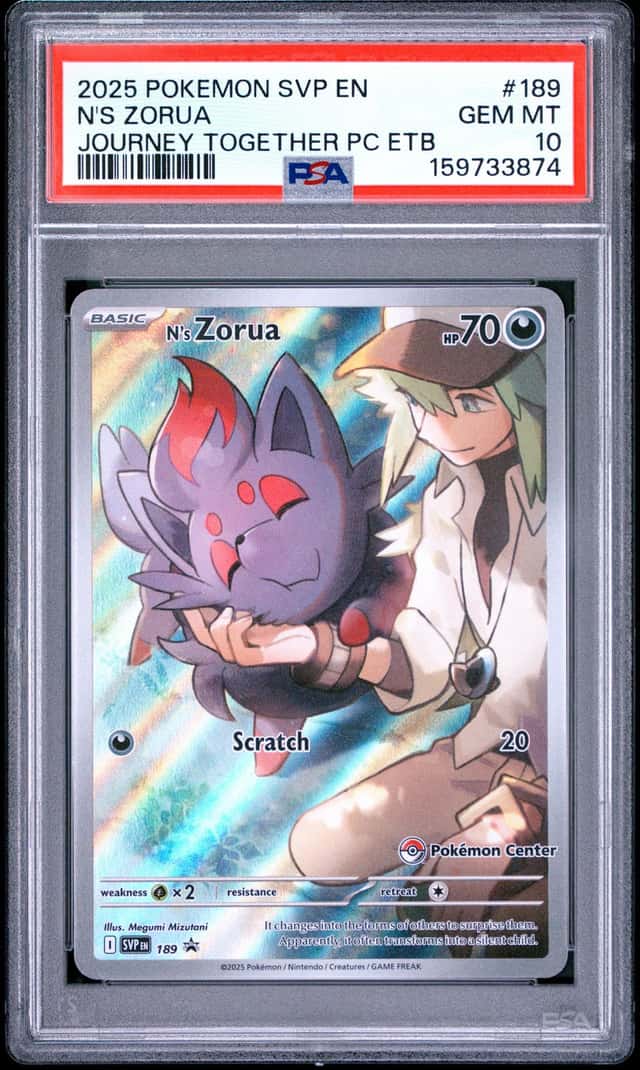 N's Zorua
