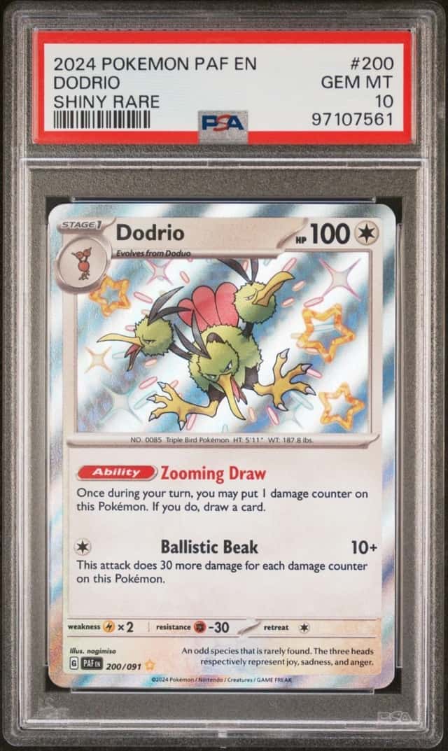Dodrio
