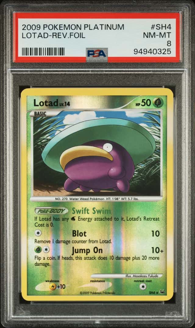 Lotad