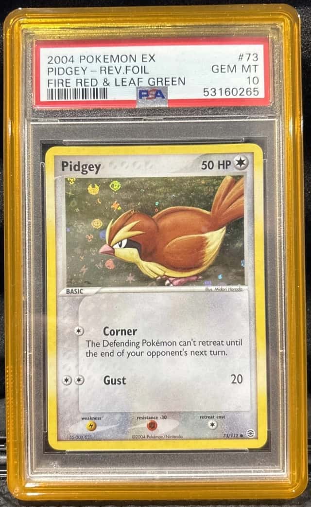 Pidgey
