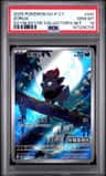 Zorua