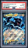 Zekrom Ex