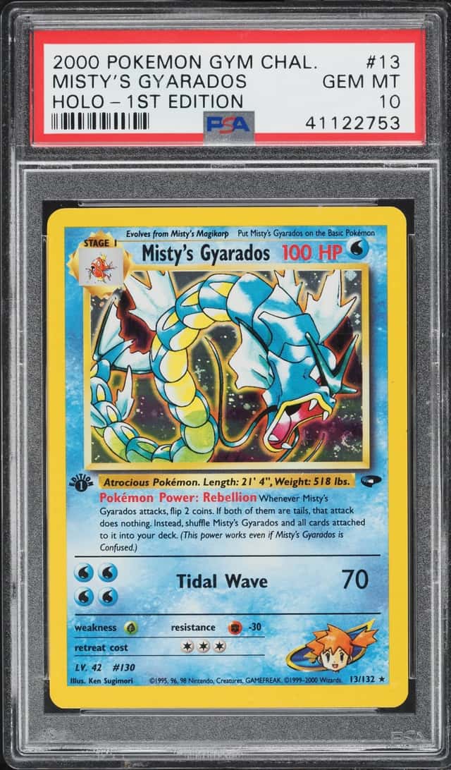 Misty's Gyarados