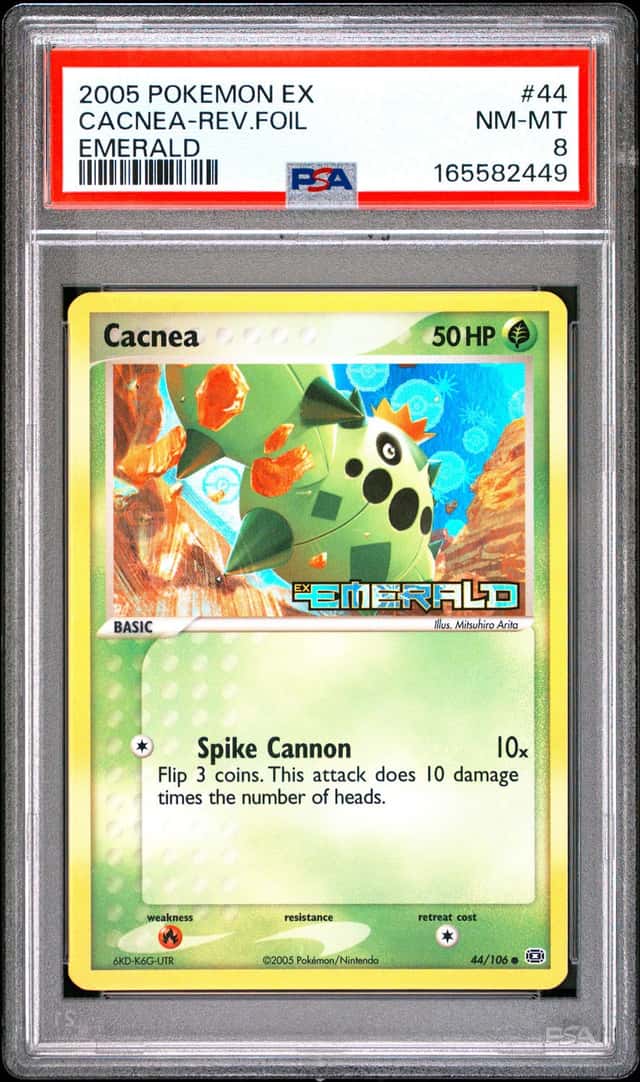 Cacnea
