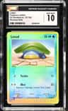 Lotad