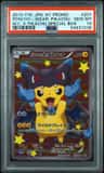 Poncho-Wearing Pikachu