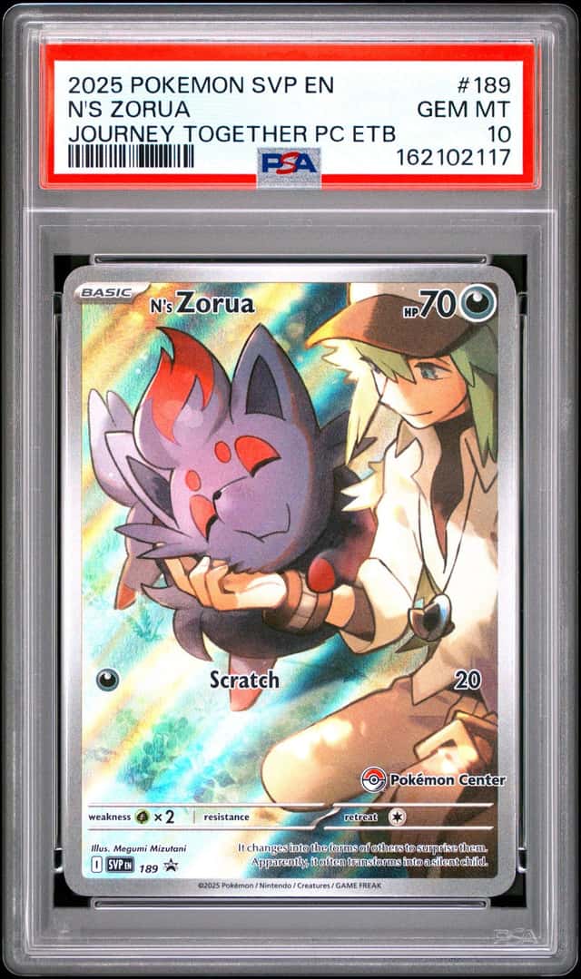 N's Zorua