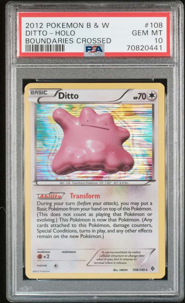 Ditto