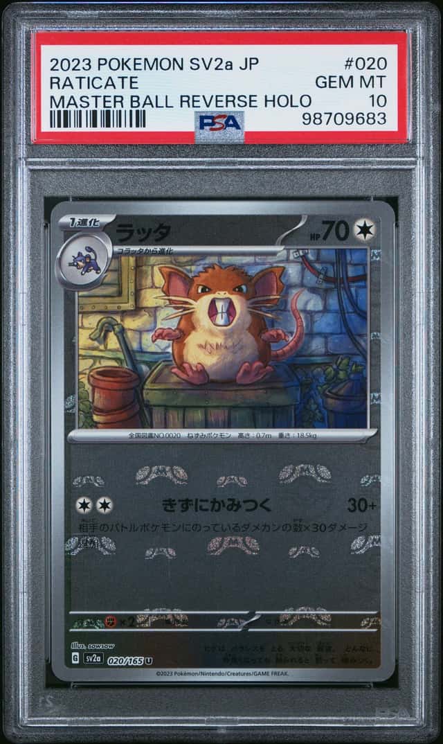 Raticate