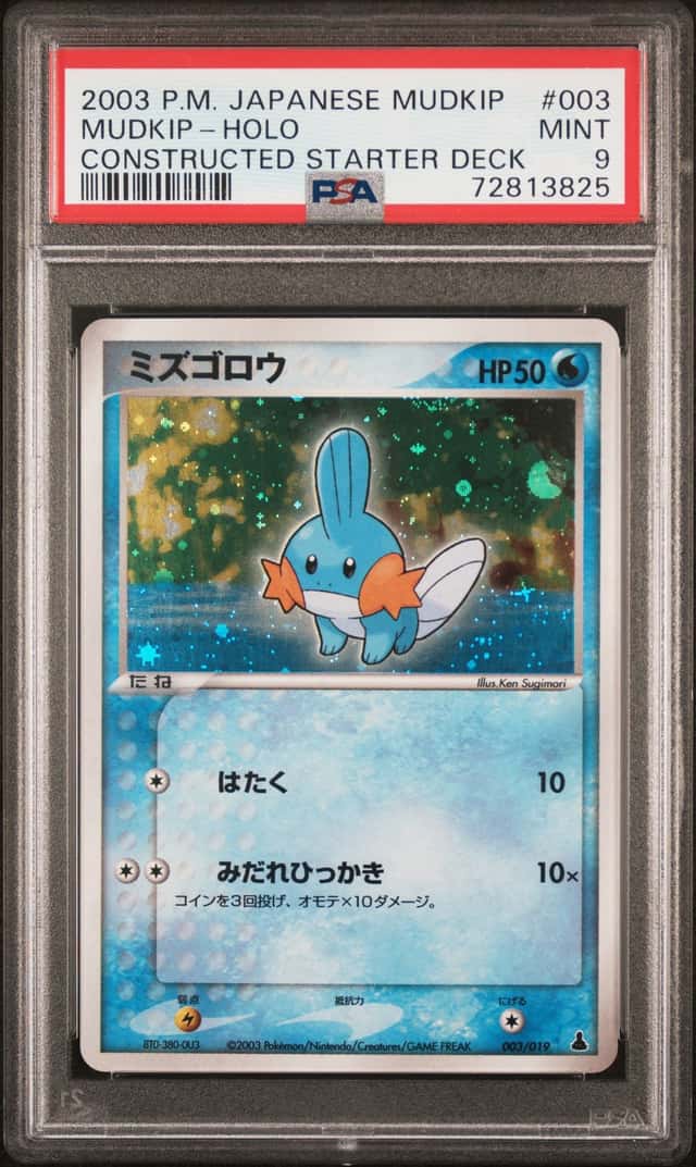 Mudkip