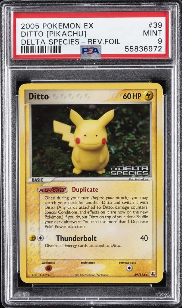 Ditto