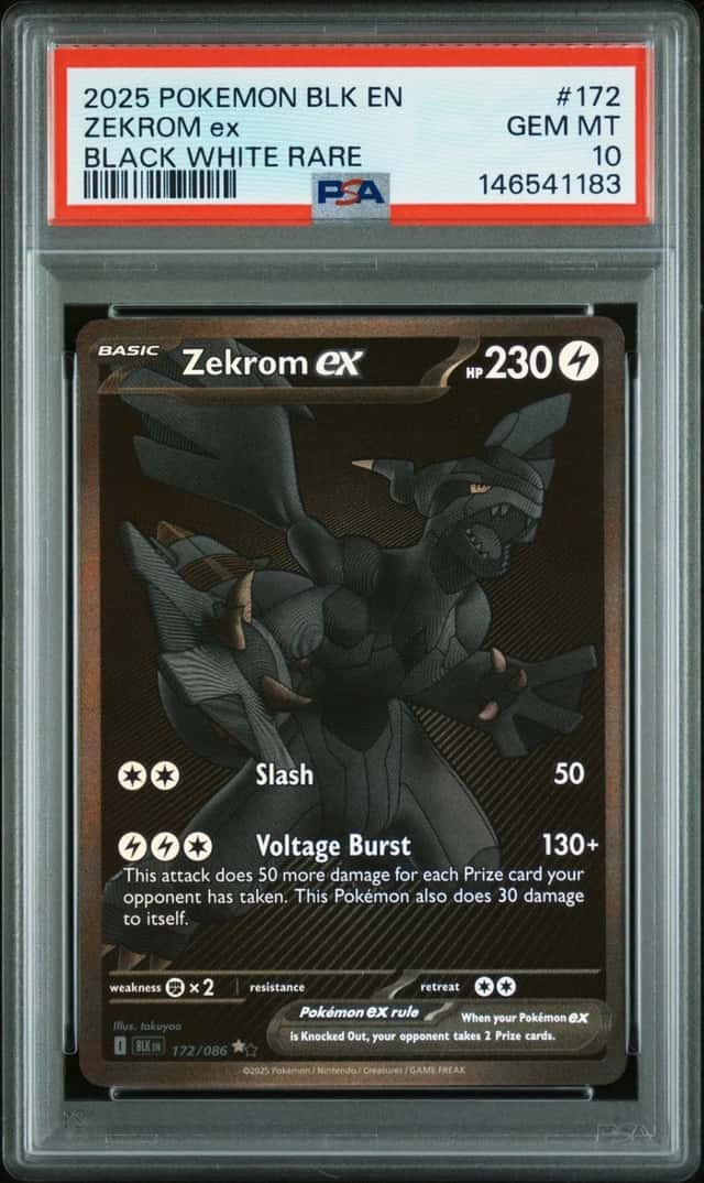 ZEKROM ex