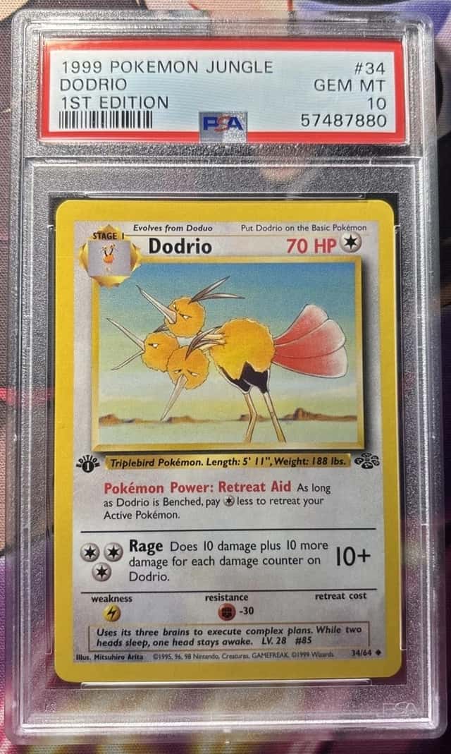 Dodrio