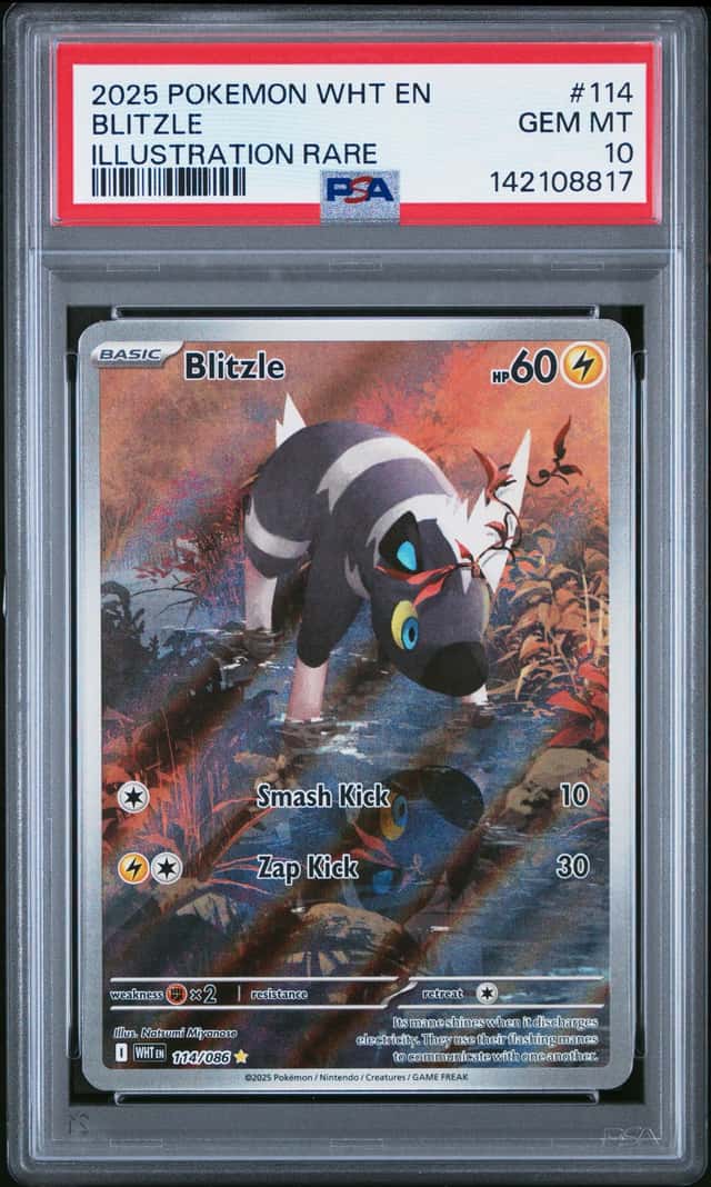 Blitzle