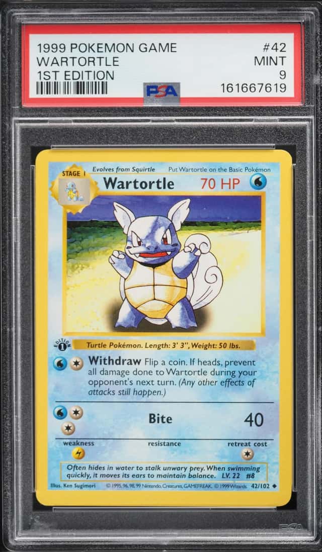 Wartortle
