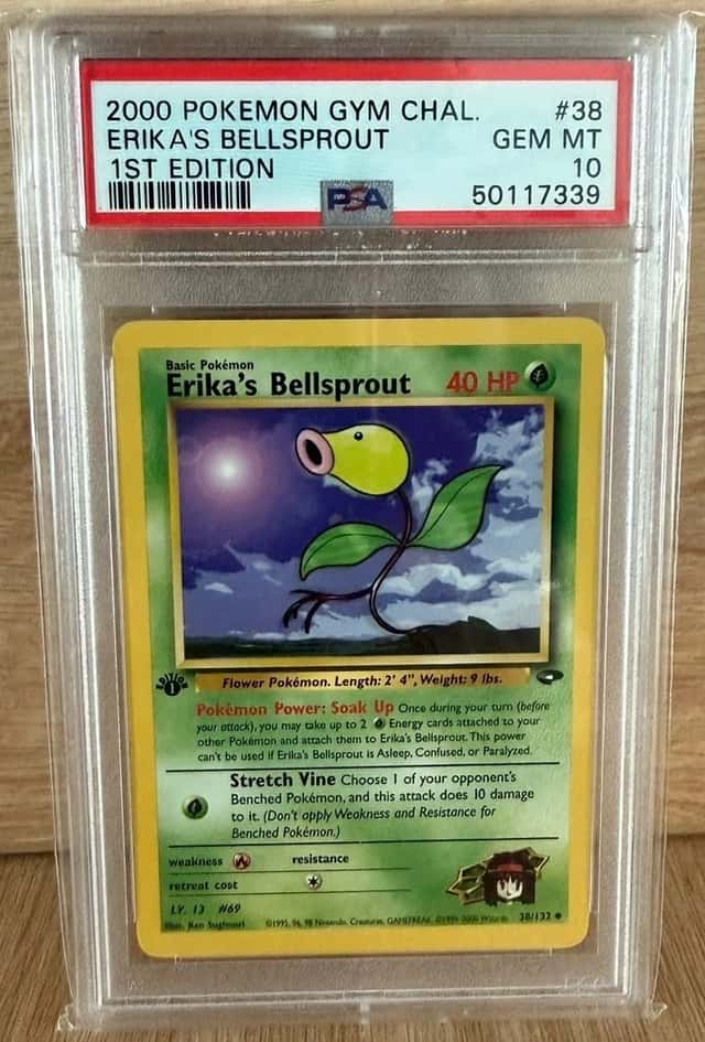 Erika's Bellsprout