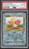Spearow