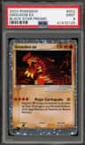 Groudon Ex